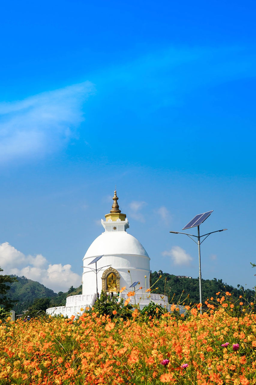 Pokhara Tour Package <br>(1Day/Half Day)
